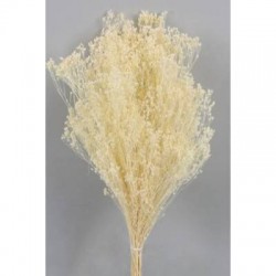 BROOM SBIANCATO BUSTA 100gr