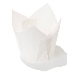 PIROTTINI TULIP 50x50mm H.72mm BIANCO 120pz