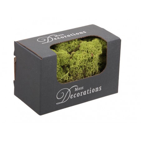 LICHENE VERDE FINLANDESE 50gr in scatola