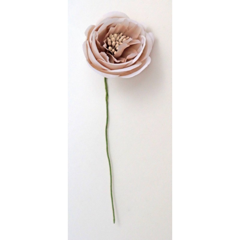 RANUNCOLO Ø 3,5cm COLOR FANGO 6pz