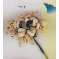 ROSA MAIS GRANDE AVORIO 3cm 12pz