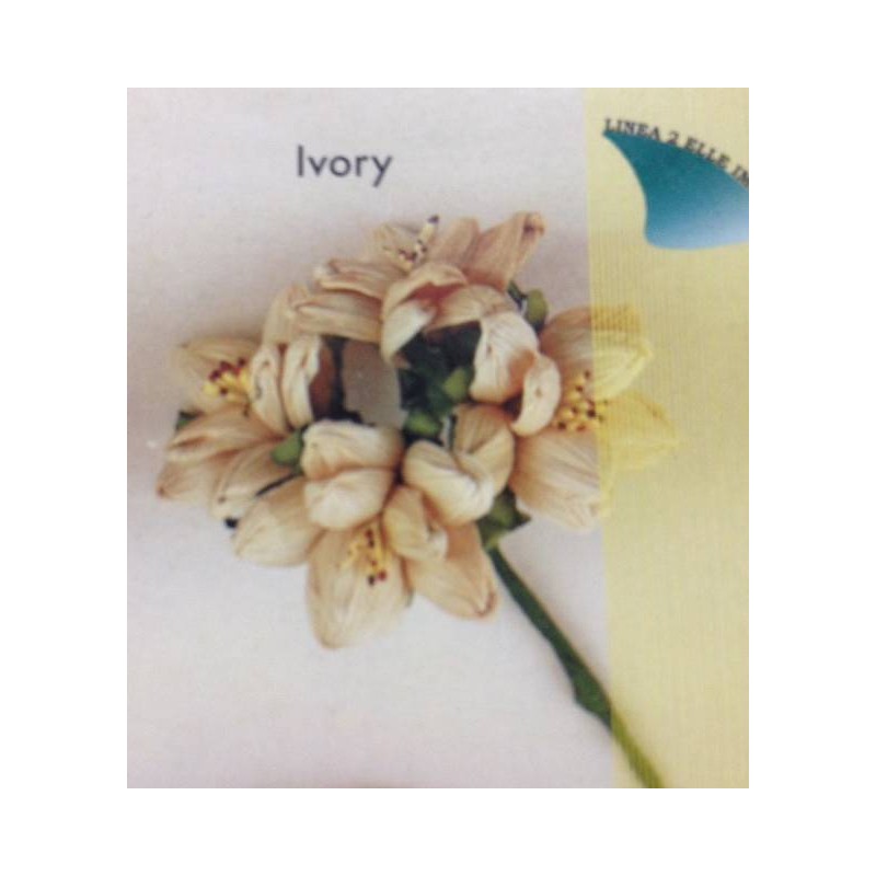 ROSA MAIS GRANDE AVORIO 3cm 12pz