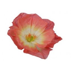 FIORE ROSA CHIARO CARTA Ø45x20cm