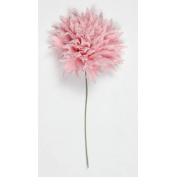 FIORE RAVELLO Ø6cm ROSA 12pz