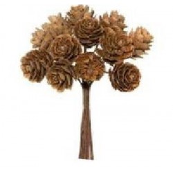 MAZZOLINO 12 PIGNE NATURAL 11cm