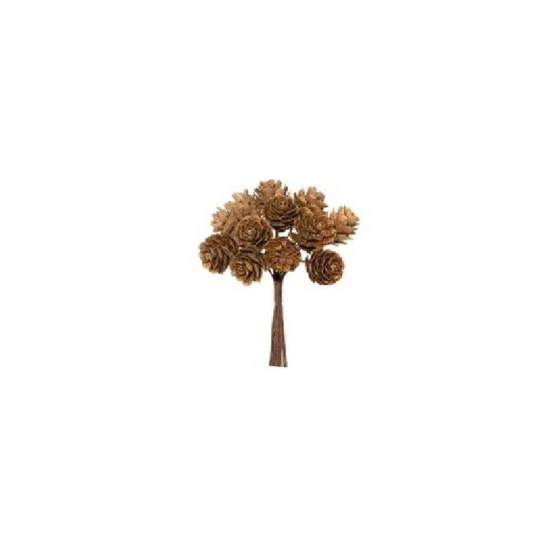 MAZZOLINO 12 PIGNE NATURAL 11cm