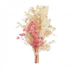 PICKS DRY FLOWERS H10cm ROSA