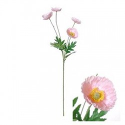 STELO POPPY  LIGHT PINK 70cm