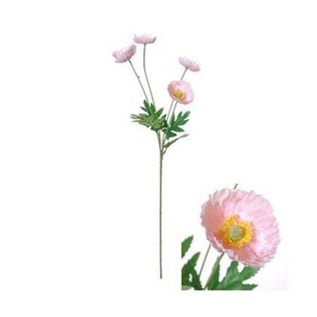 STELO POPPY  LIGHT PINK 70cm