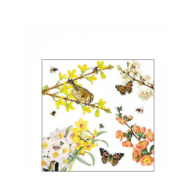 TOVAGLIOLI 25x25 SPRING AWAKENING 20pz