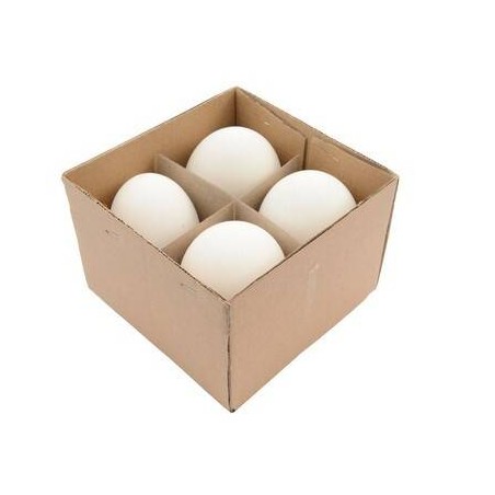 BOX 4 UOVA D'OCA BIANCHE DA DECORARE