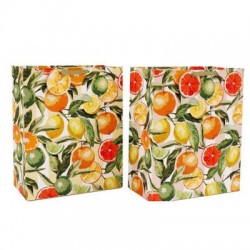 BORSA GIFT 26x33cm AGRUMI