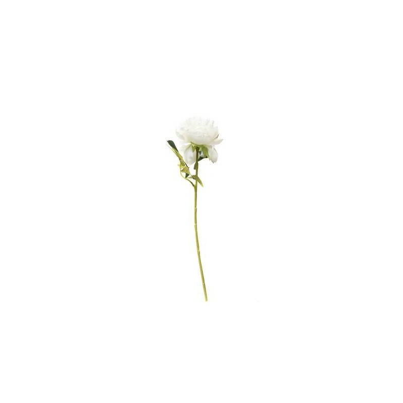 FIORE PEONIA C/STELO 50cm BIANCO