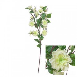 FIORE MUCUNA BIRDWOODIANA C/STELO 72cm BIANCO