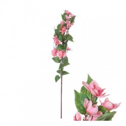 FIORE MUCUNA BIRDWOODIANA C/STELO 72cm ROSA