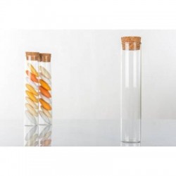 PROVETTA VETRO TAPPO SUGHERO H.12cm 6pz H3072