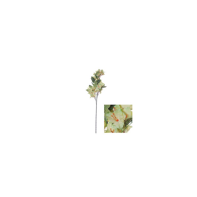 STELO BOUGAINVILLEA VERDE CHIARO 76cm