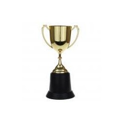 TROFEO IN PLASTICA ORO 22cm