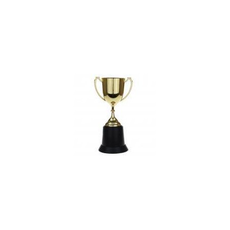 TROFEO IN PLASTICA ORO 22cm