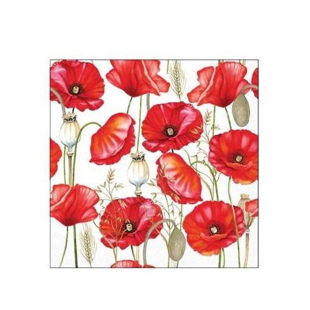 TOVAGLIOLI 25X25 PAPAVERI 20pz