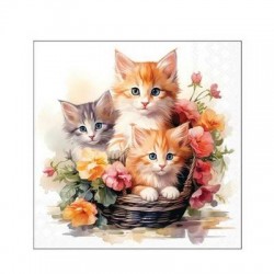 TOVAGLIOLI 25x25 GATTINI NEL CESTINO 20pz