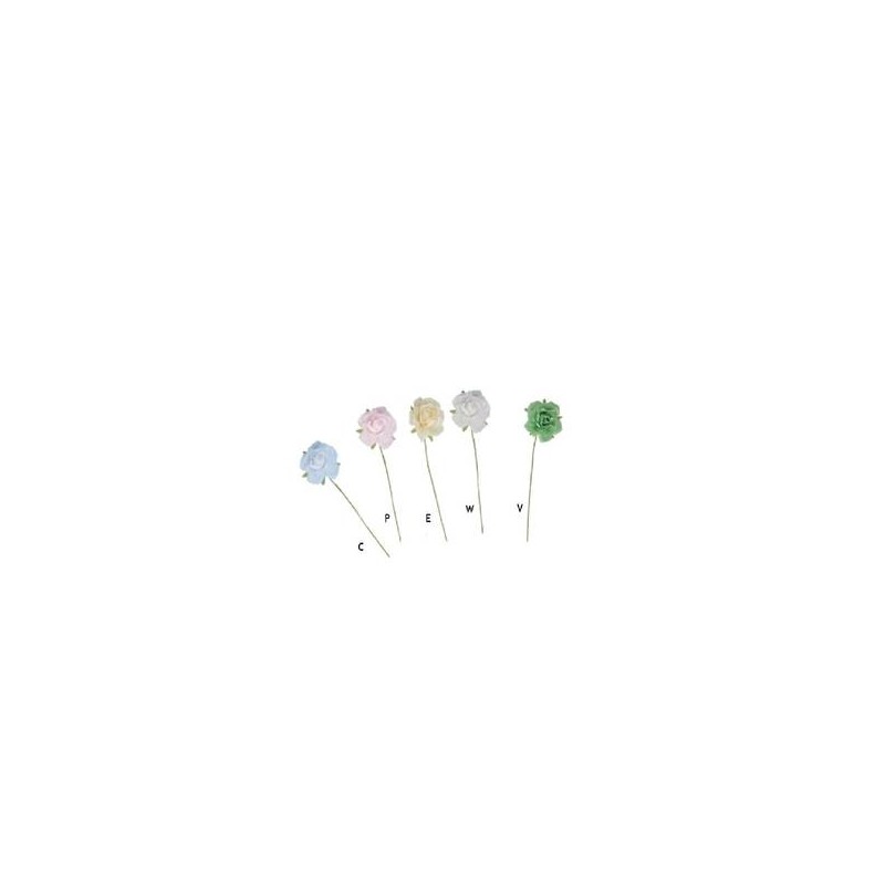 ROSELLINA C/STELO 12pz ECRU