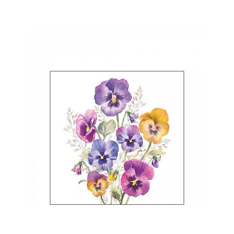 TOVAGLIOLI 25x25 PANSIES 20pz
