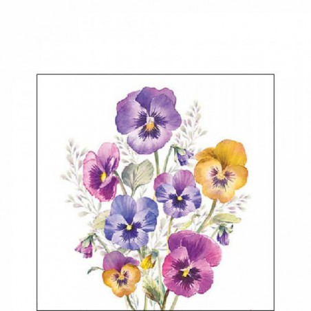 TOVAGLIOLI 25x25 PANSIES 20pz