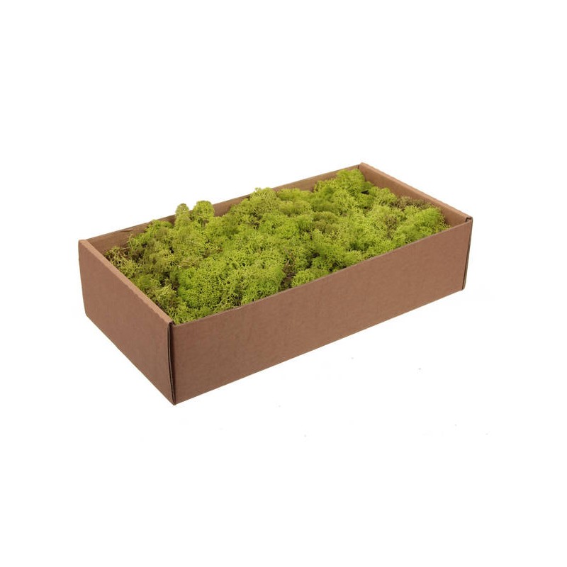 LICHENE FINLANDESE LIGHT GREEN 500gr