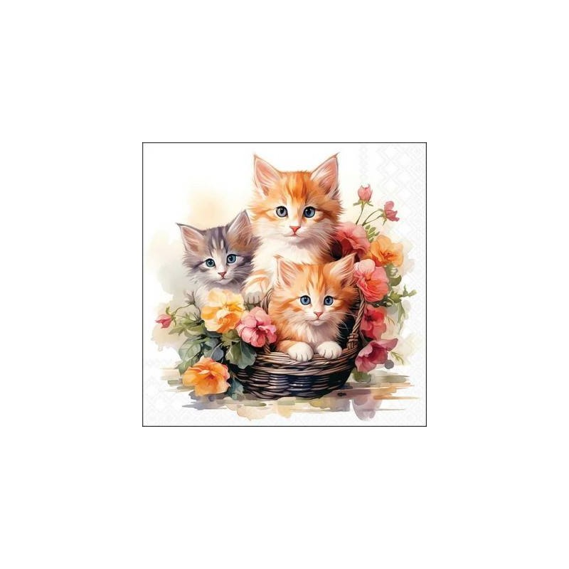 TOVAGLIOLI 33x33 GATTINI NEL CESTINO 20pz