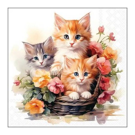 TOVAGLIOLI 33x33 GATTINI NEL CESTINO 20pz