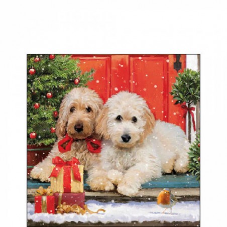 TOVAGLIOLI 25x25cm DOGS AT THE DOOR 20pz