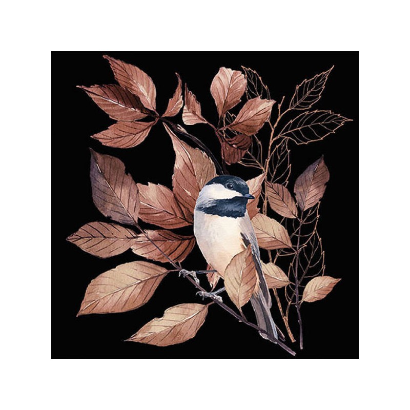 TOVAGLIOLI 33x33 LOVELY CHICKADEE BLACK  20pz