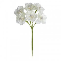 FIORE LANZAROTE ø4cm CREMA 6pz