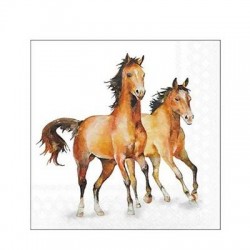 TOVAGLIOLI 25x25 WILD HORSES 20pz