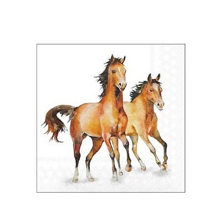 TOVAGLIOLI 25x25 WILD HORSES 20pz