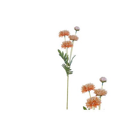 STELO 4 ZINNIANS ARANCIO 61cm