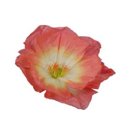 FIORE ROSA CHIARO CARTA Ø45x20cm