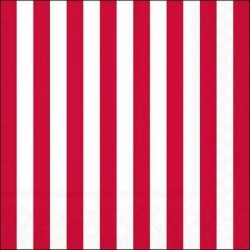 TOVAGLIOLI 33X33 STRISCIA ROSSA 20pz