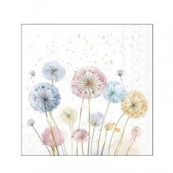 TOVAGLIOLI 25X25 DENTE DI LEONE 20pz