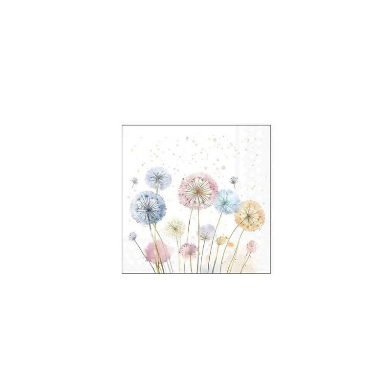 TOVAGLIOLI 25X25 DENTE DI LEONE 20pz