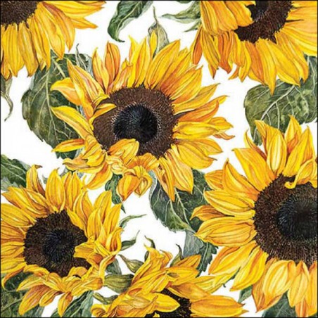 TOVAGLIOLI 33x33 SUNFLOWERS BLOSSOMING 20pz