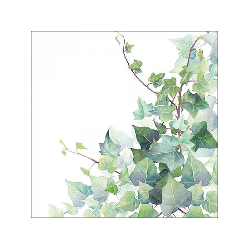 TOVAGLIOLI 33x33 HEDERA WHITE 20pz