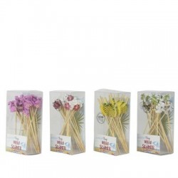 PICKS STUZZICADENTI BAMBOO 20pz 4DISEGNI ASS.TI