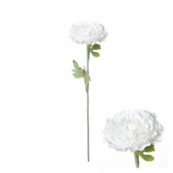FIORE RANUNCOLO C/STELO 55cm BIANCO