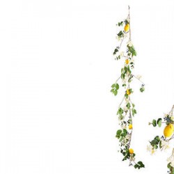 GHIRLANDA LIMONI 170cm