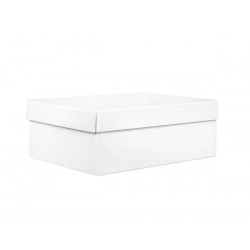 SCATOLA F/COPERCHIO LINEA 1000 32,7x21x11,5cm BIANCO PERLA PORTATA 6kg