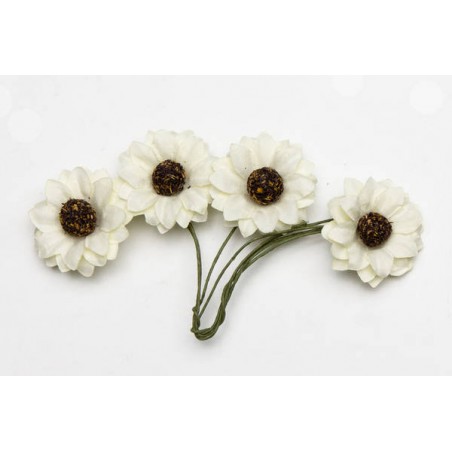 PICKS GIRASOLE BIANCO ø2,2cm 12pz