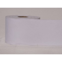 NASTRO VELLUTO mm100x20mt COL.13 BIANCO