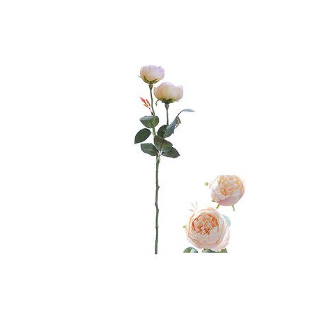 STELO ROSE DOUBLE SALMONE 46cm